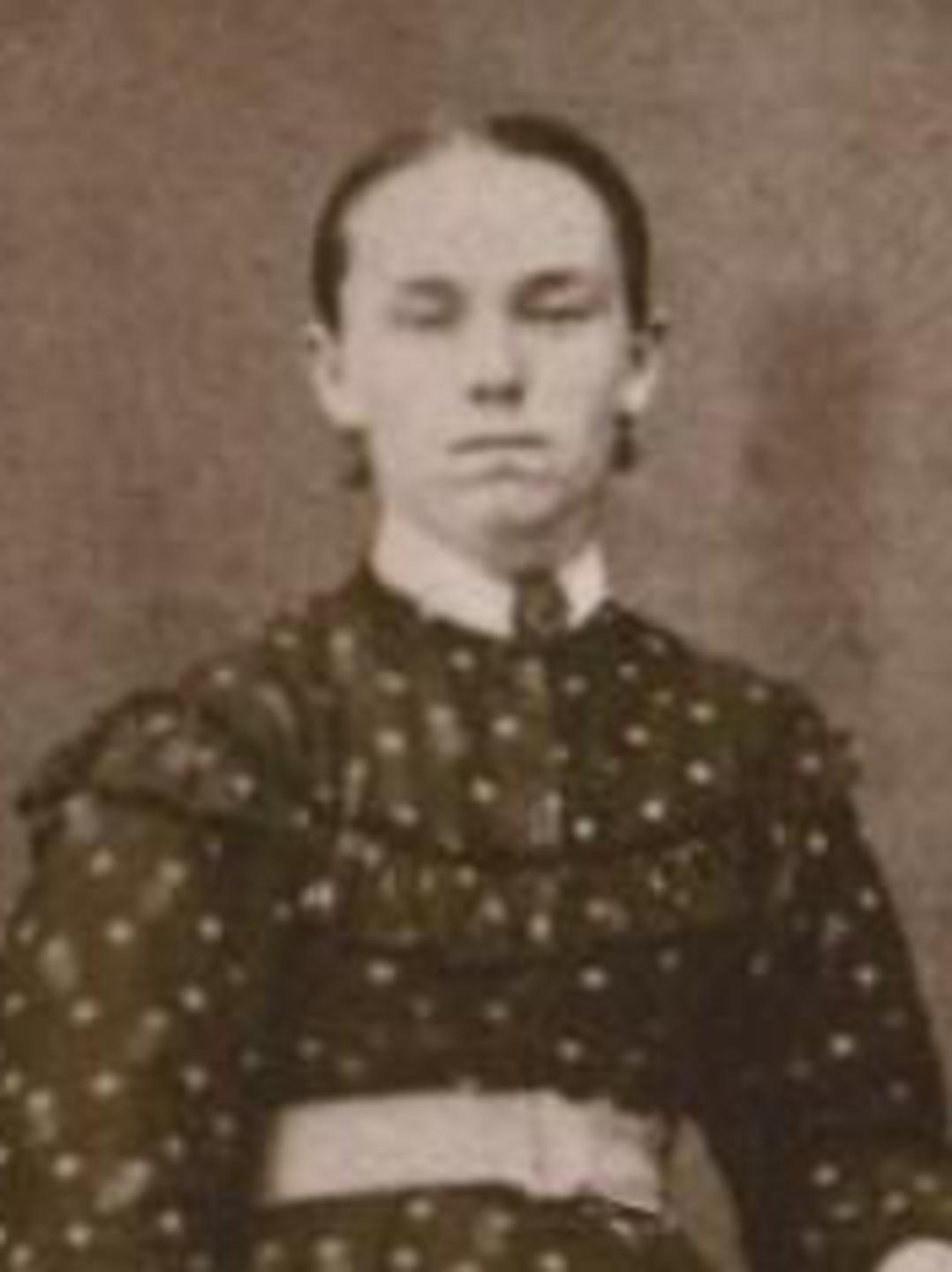 Hannah Shelley (1847 - 1914) Profile